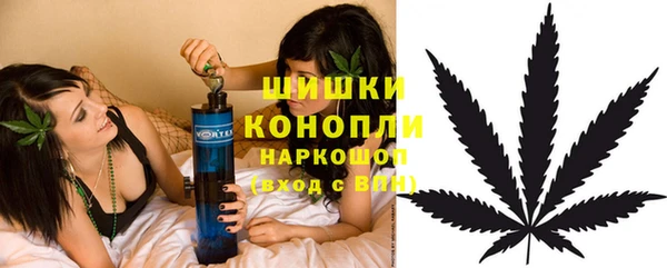 стаф Кукмор