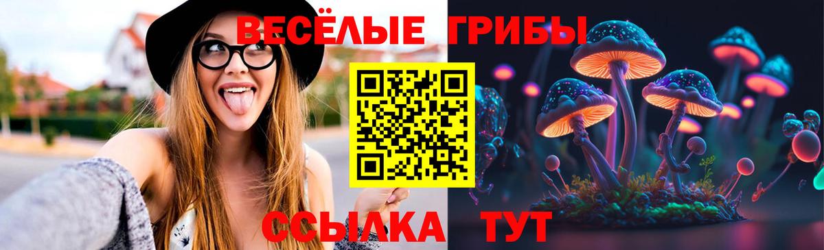 Псилоцибиновые грибы Psilocybine cubensis Мелеуз