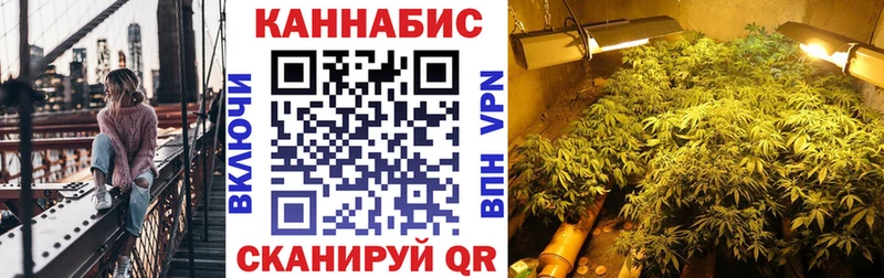 Бошки марихуана сатива  купить закладку  Мелеуз 